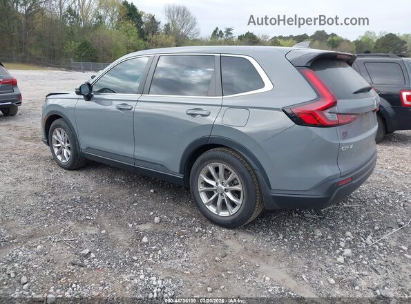 2HKRS3H77RH301224 2024 HONDA CR-V Gray Tył lewy
