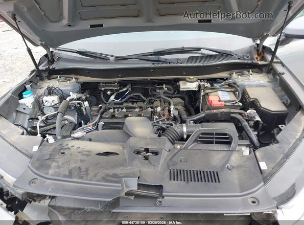 2HKRS3H77RH301224 2024 HONDA CR-V Gray Widok z tyłu
