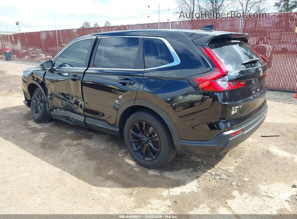 2HKRS4H47RH419740 2024 HONDA CR-V Черный Задняя левая четверть