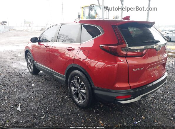 2HKRW2H80MH685475 2021 HONDA CR-V Red უკანა მარცხენა