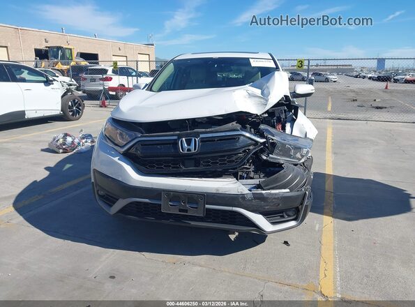 2HKRW2H81MH629366 2021 HONDA CR-V White უკანა სალონის ხედი