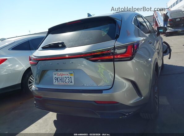 2T2ADCAZ2RC013077 2024 LEXUS NX 250 Gray 