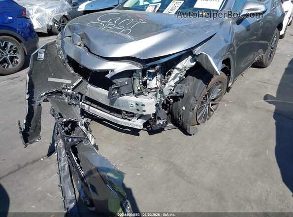 2T2ADCAZ2RC013077 2024 LEXUS NX 250 Gray 