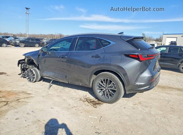 2T2ADCAZ2SC021203 2025 LEXUS NX Gray 