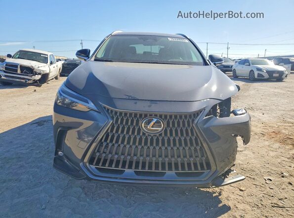 2T2ADCAZ2SC021203 2025 LEXUS NX Gray 