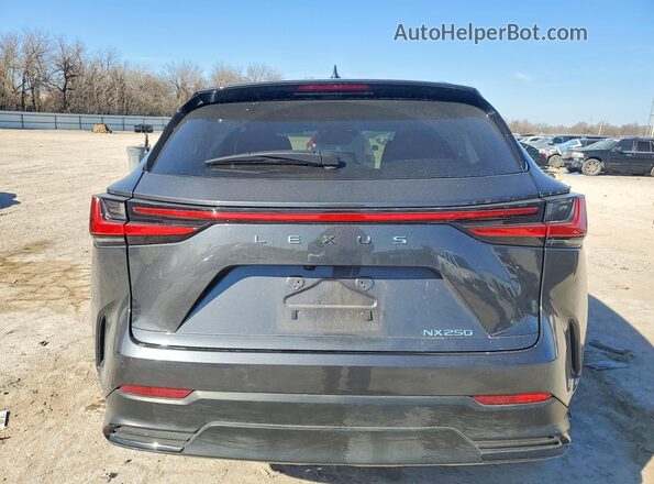 2T2ADCAZ2SC021203 2025 LEXUS NX Gray 