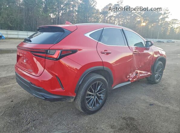 2T2ADCAZ4PC004085 2023 LEXUS NX Red Tył prawy
