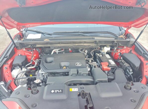 2T2ADCAZ4PC004085 2023 LEXUS NX Red Widok wnętrza z tyłu
