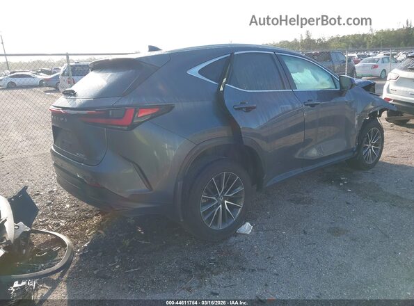 2T2ADCAZ5RC008374 2024 LEXUS NX 250 Gray უკანა მარჯვენა