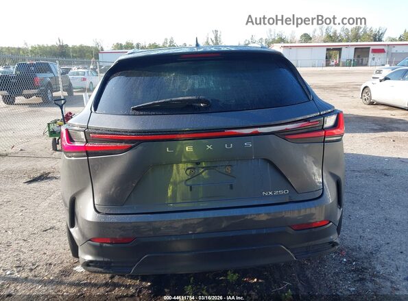 2T2ADCAZ5RC008374 2024 LEXUS NX 250 Gray 