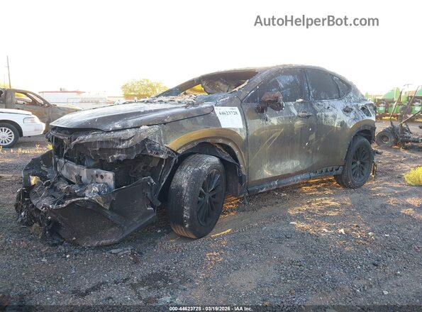 2T2ADCAZ5RC012330 2024 LEXUS NX 250 Gold Przód lewy
