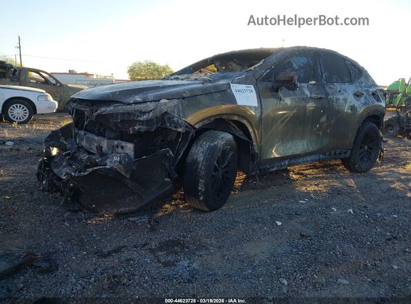 2T2ADCAZ5RC012330 2024 LEXUS NX 250 Gold Widok z przodu