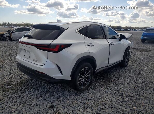 2T2ADCAZ7NC001730 2022 LEXUS NX White Задня права чверть