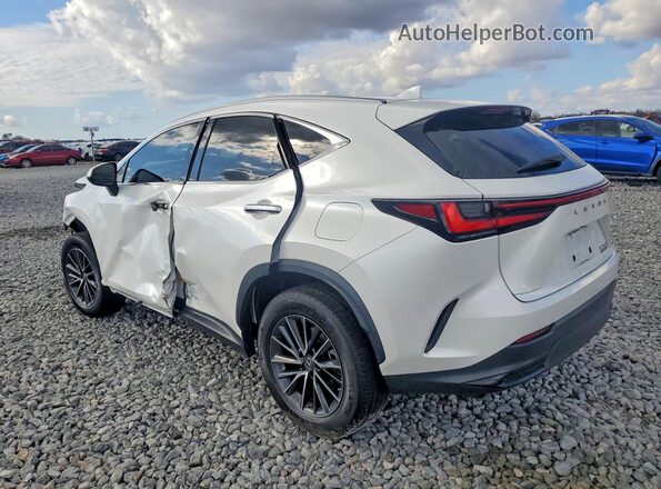 2T2ADCAZ7NC001730 2022 LEXUS NX White Задня ліва чверть