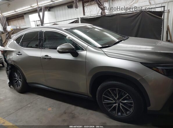 2T2ADCAZ7PC003108 2023 LEXUS NX 250 Серебряный Вид задней части салона