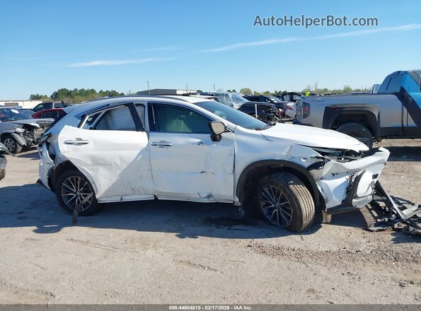 2T2ADCAZ7PC004503 2023 LEXUS NX 250 Белый Вид задней части салона