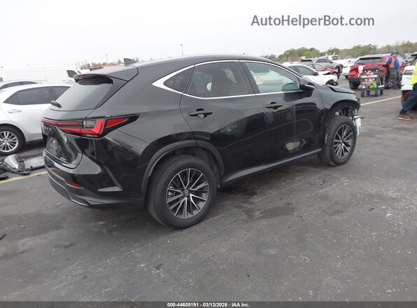 2T2ADCAZXPC005502 2023 LEXUS NX 250 Черный Задняя правая четверть