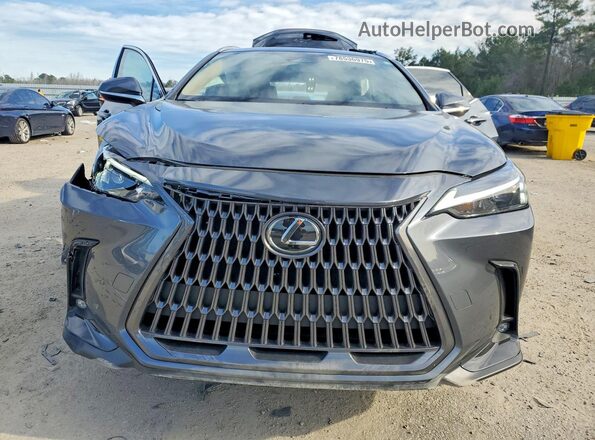 2T2ADCAZXRC009049 2024 LEXUS NX Gray Vista frontal