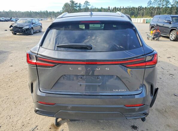 2T2ADCAZXRC009049 2024 LEXUS NX Gray Vista trasera