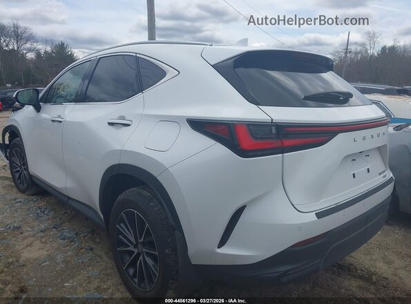 2T2AGCEZ0TC105149 2026 LEXUS NX 350 White Trasero izquierdo