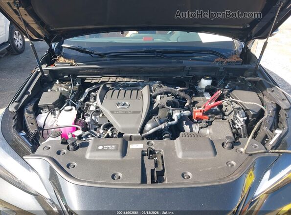 2T2AGCEZ2TC098463 2026 LEXUS NX 350 Black Widok z tyłu