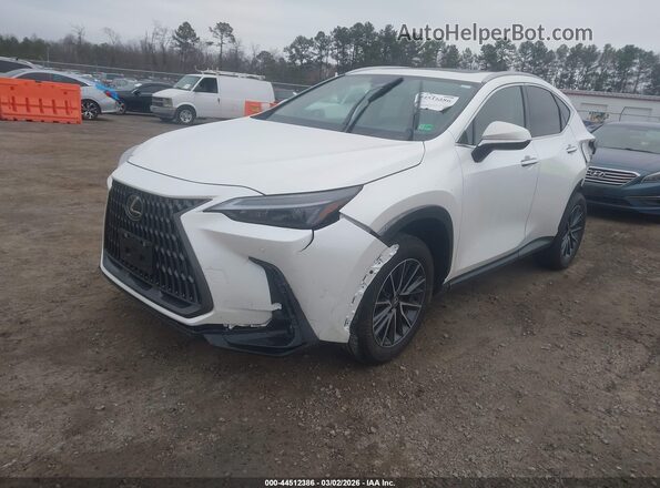 2T2AGCEZ7SC082385 2025 LEXUS NX 350 White Vista tres cuartos delantera izquierda