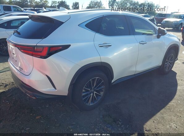 2T2AKCEZ3SC031903 2025 LEXUS NX White Trasero derecho