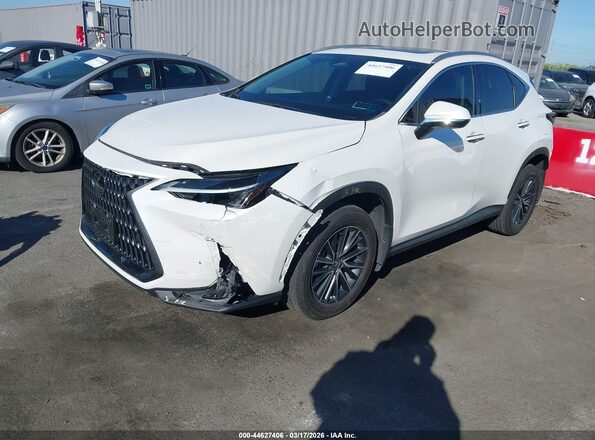 2T2AKCEZ3SC031903 2025 LEXUS NX White Vista tres cuartos delantera izquierda