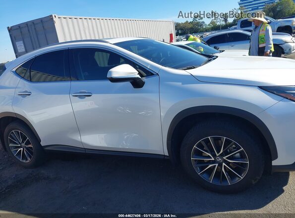 2T2AKCEZ3SC031903 2025 LEXUS NX White Vista interior trasera