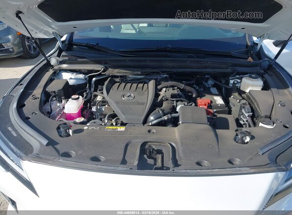 2T2BAMBA3SC057235 2025 LEXUS RX 350 White Vista trasera