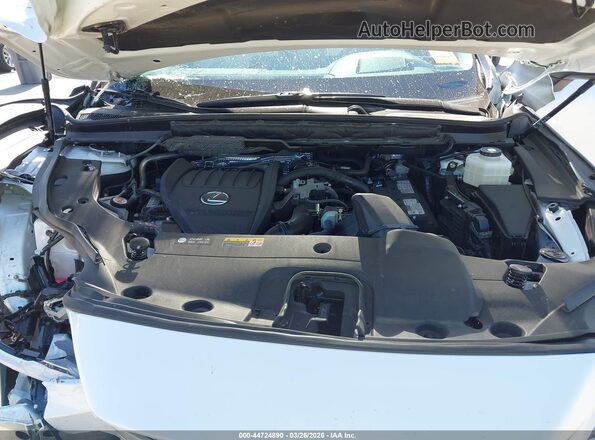 2T2BAMBA4RC035724 2024 LEXUS RX 350 Белый Вид сзади