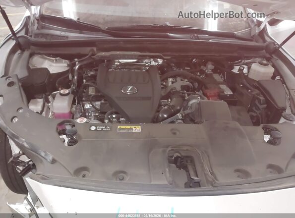 2T2BAMBAXRC035193 2024 LEXUS RX 350 White უკანა ხედი