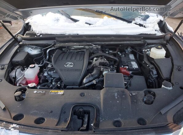2T2BAMCA0RC083400 2024 LEXUS RX Silver Widok wnętrza z tyłu