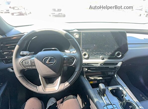 2T2BAMCA0SC119608 2025 LEXUS RX Gray Հետևի նստատեղերի տեսք