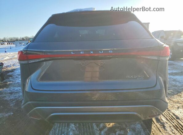 2T2BAMCA1RC081123 2024 LEXUS RX Gray უკანა ხედი