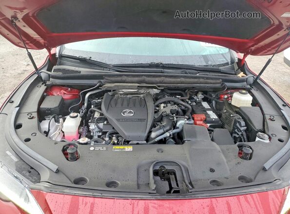 2T2BAMCA3RC076361 2024 LEXUS RX Red Vista interior trasera