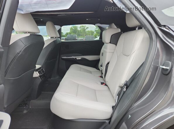 2T2BAMCA3SC112717 2025 LEXUS RX Gray 