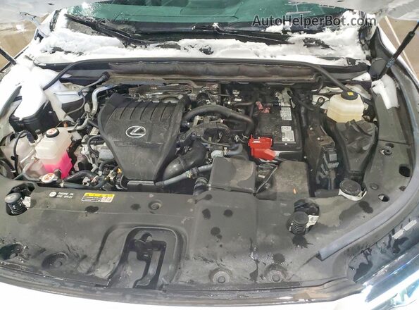 2T2BAMCA4RC045314 2024 LEXUS RX White Rear interior view