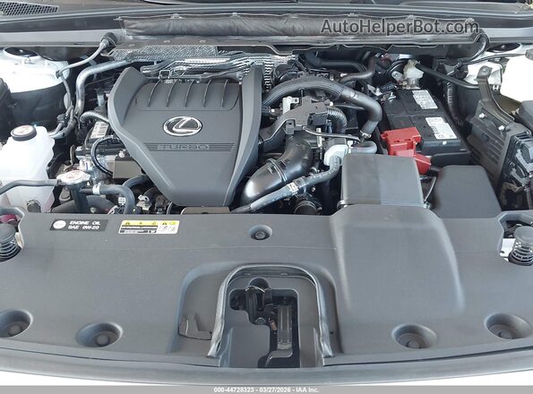 2T2BAMCA7TC133930 2026 LEXUS RX 350 White Вид ззаду