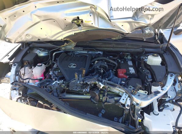 2T2BAMCA9RC067132 2024 LEXUS RX 350 Silver Հետևի տեսք
