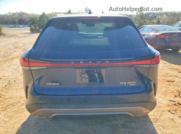 2T2BAMCAXRC058634 2024 LEXUS RX Blue Rear view