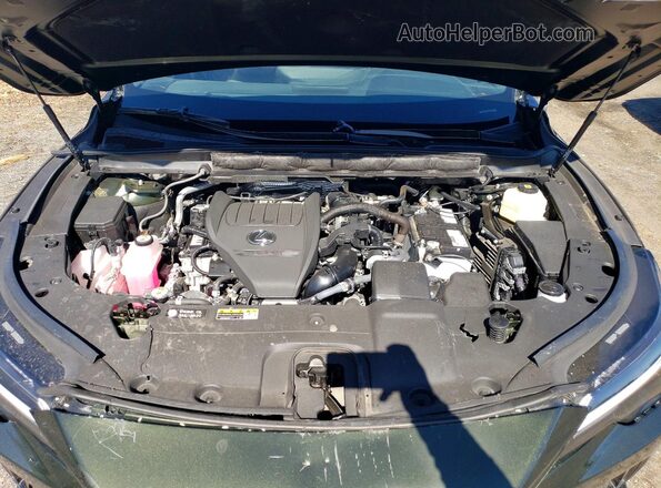 2T2BAMCAXSC097147 2025 LEXUS RX Green 