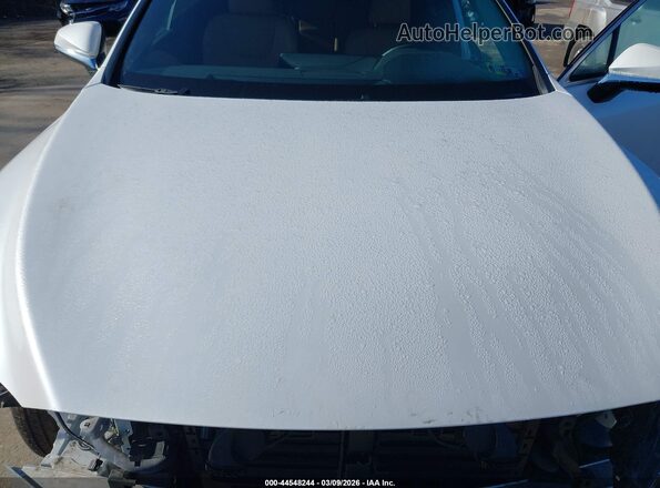 2T2BBMCA2RC051836 2024 LEXUS RX 350H White უკანა ხედი