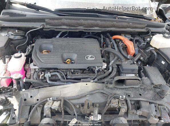 2T2BBMCA7RC031386 2024 LEXUS RX 350H Black Vista trasera