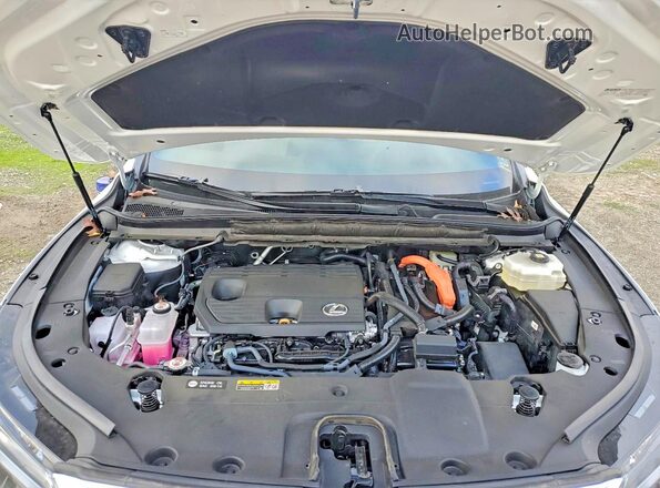 2T2BBMCA8SC087438 2025 LEXUS RX White 