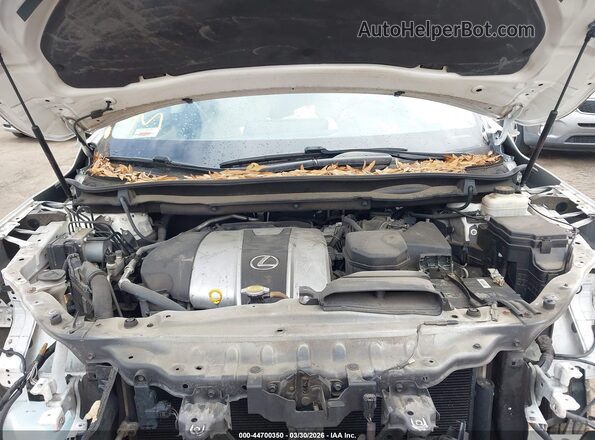2T2BZMCA1HC056181 2017 LEXUS RX 350 Белый Вид сзади