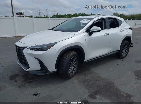 2T2GDCAZ0SC029519 2025 LEXUS NX 250 White Front left