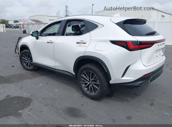 2T2GDCAZ0SC029519 2025 LEXUS NX 250 White Rear left