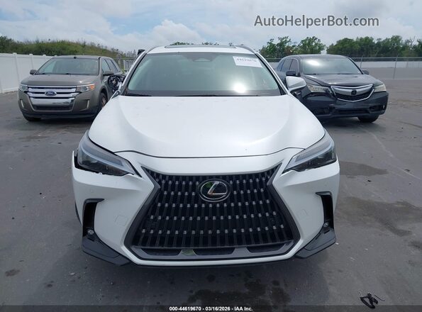 2T2GDCAZ0SC029519 2025 LEXUS NX 250 White Instrument cluster view