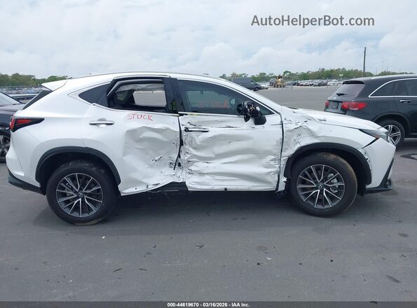 2T2GDCAZ0SC029519 2025 LEXUS NX 250 White Rear interior view